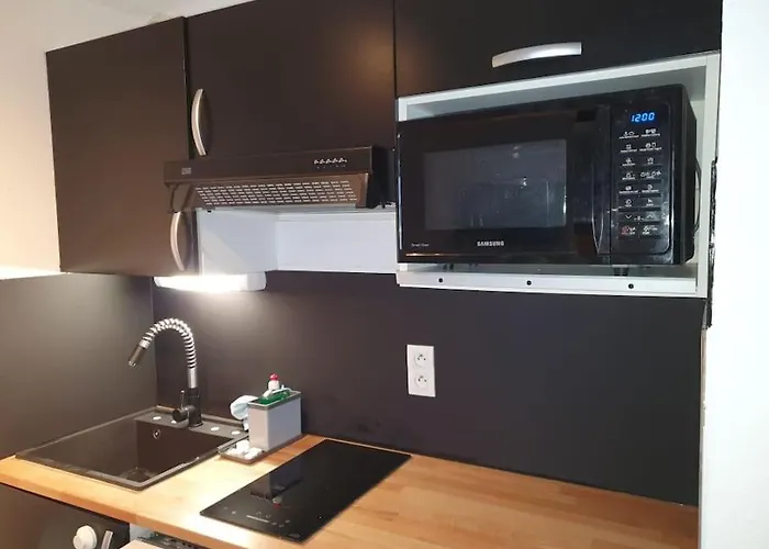 Classe 3 Etoiles Tres Bien Situe 아파트 생라리술랑